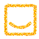 KASYAP SWEETENERS LIMITED