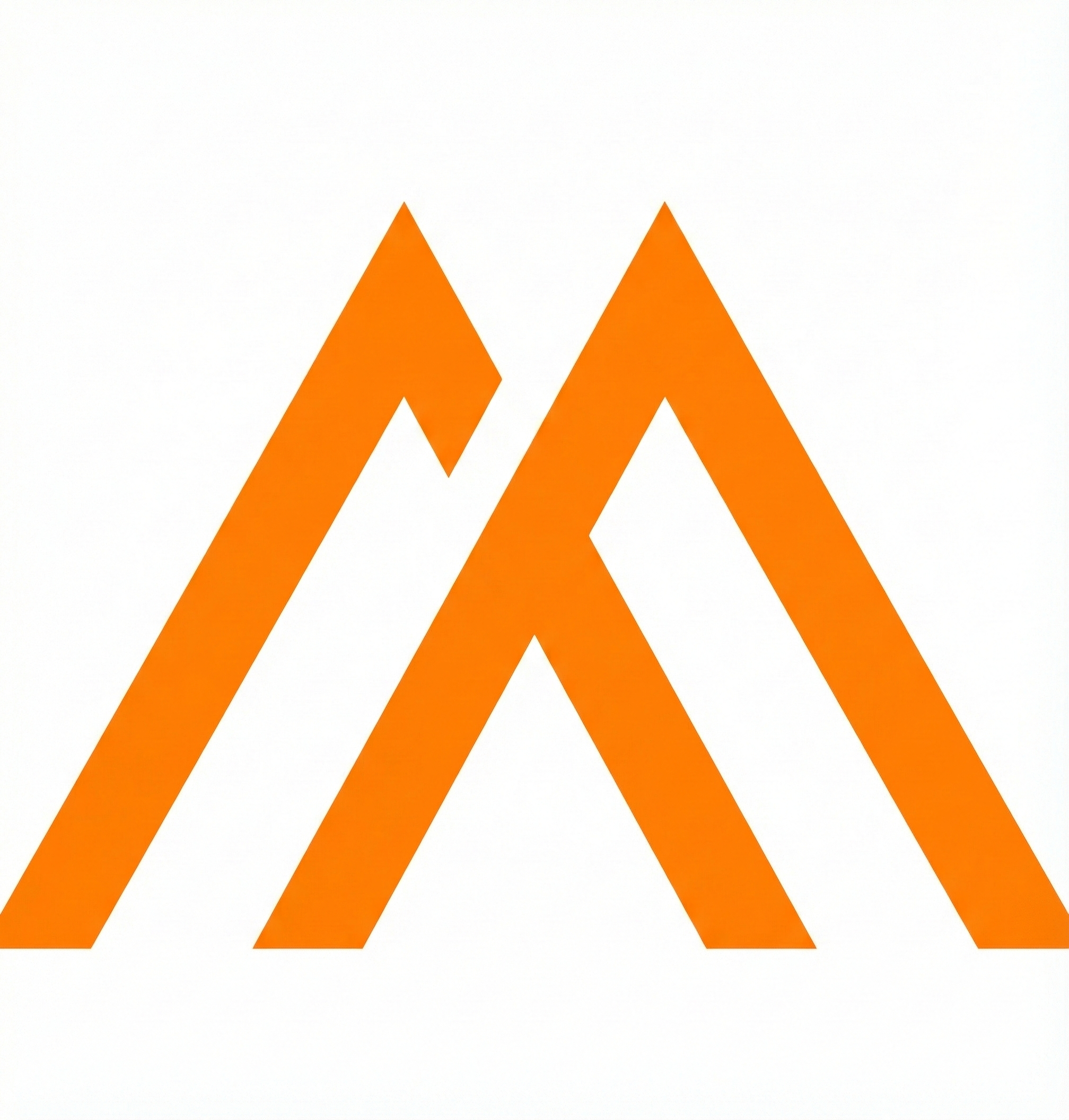 MILLENNIUM STARCH INDIA PRIVATE LIMITED